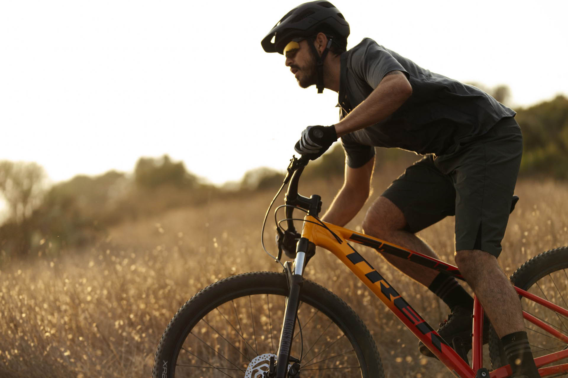 Trek FX1 